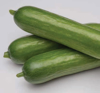 Picture of Senator cucumber short seeds