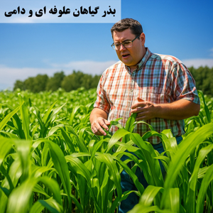 تصویر برای دسته  بذر گیاهان علوفه ای و دامی