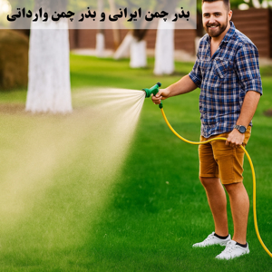 تصویر برای دسته  بذر چمن ایرانی - بذر چمن خارجی وارداتی