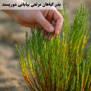 Picture for category Halophyte plants seeds
