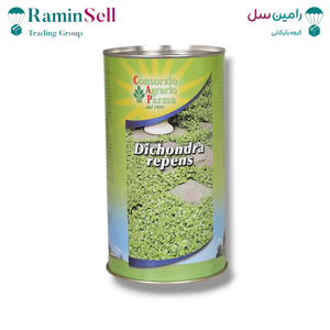 بذر چمن دایکوندرا (شبدر زینتی)