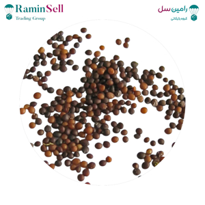 عکس بذر آویشن باغی یا آویشن ولگار