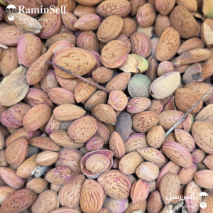 بذر درخت بادام ارژن